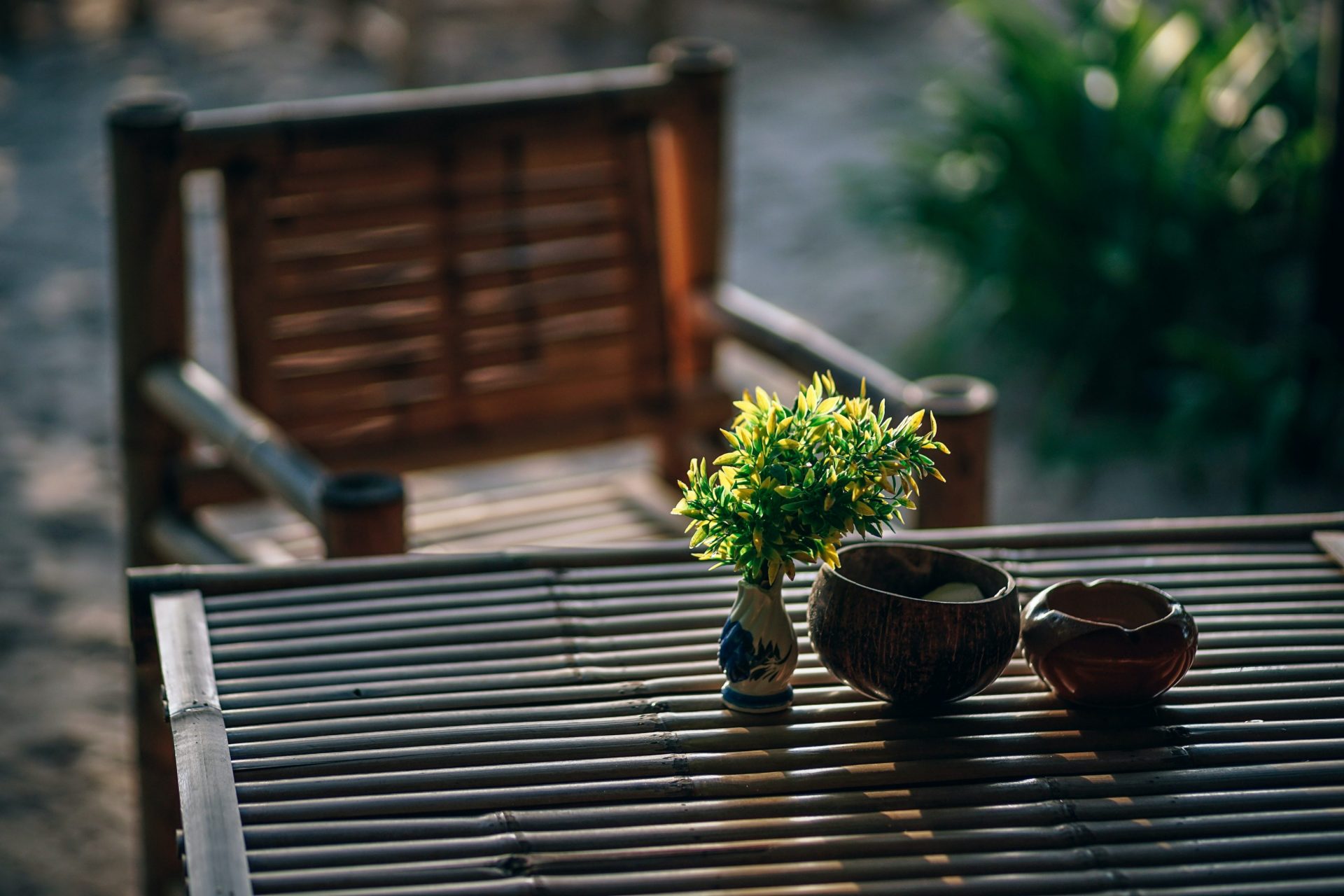 Photo of a small plant on top of a wooden table