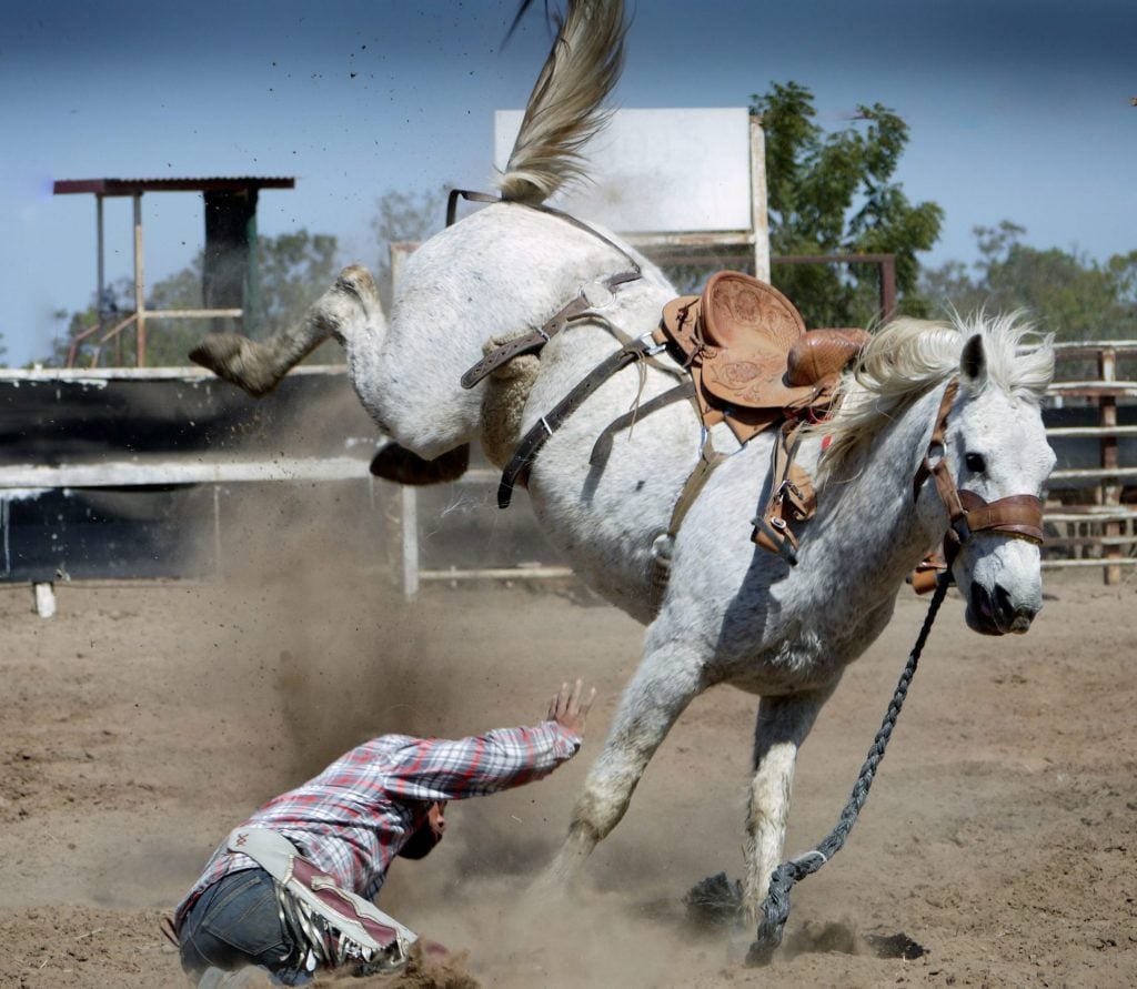 Working with horses is dangerous