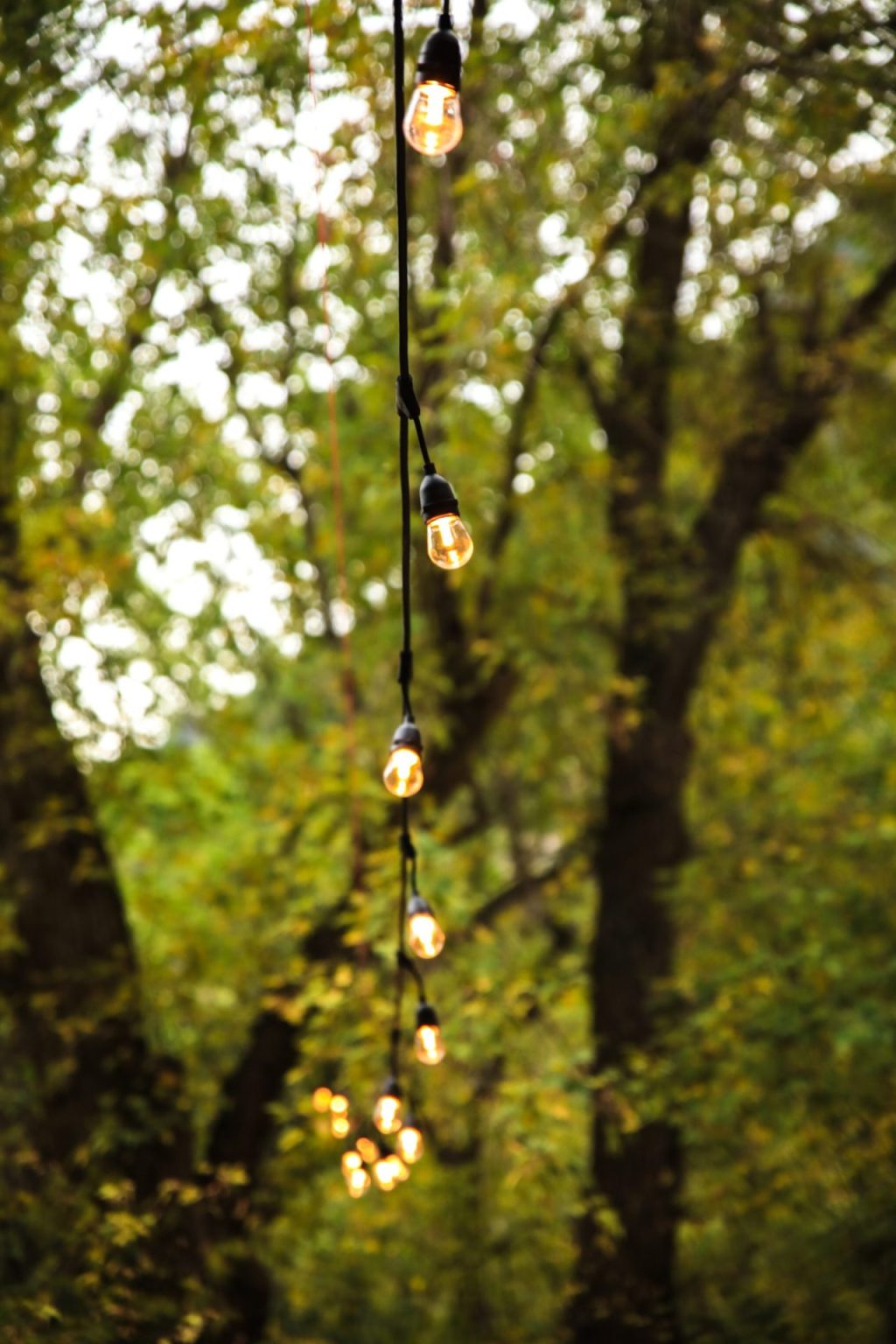 Outdoor Tree Lighting Ideas | Brittany Corporation