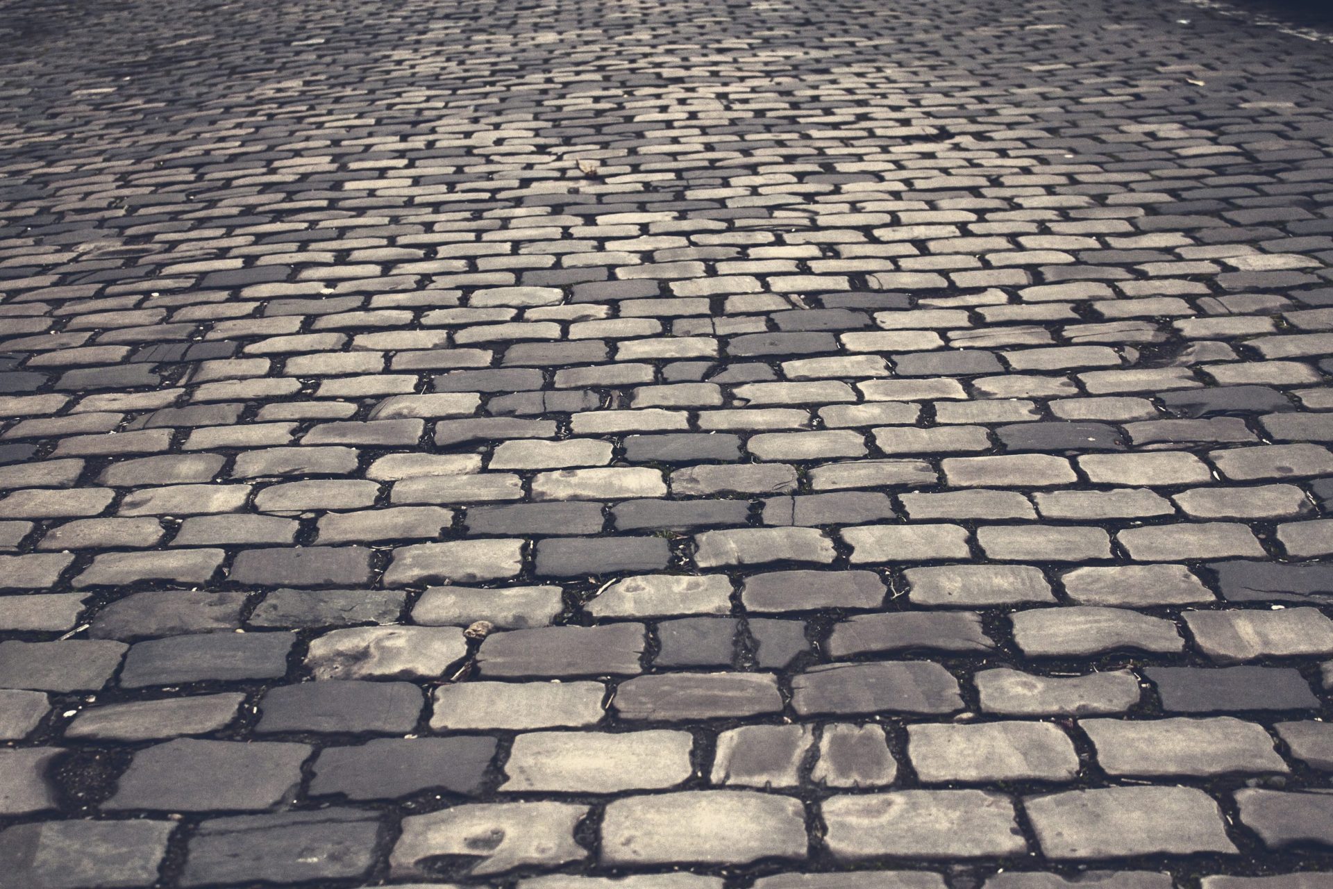 Rustic-themed houses use cobblestones for their homes, which is an expensive material to use