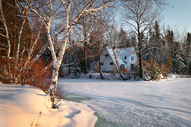 Wood Used For A Swiss Chalet Home