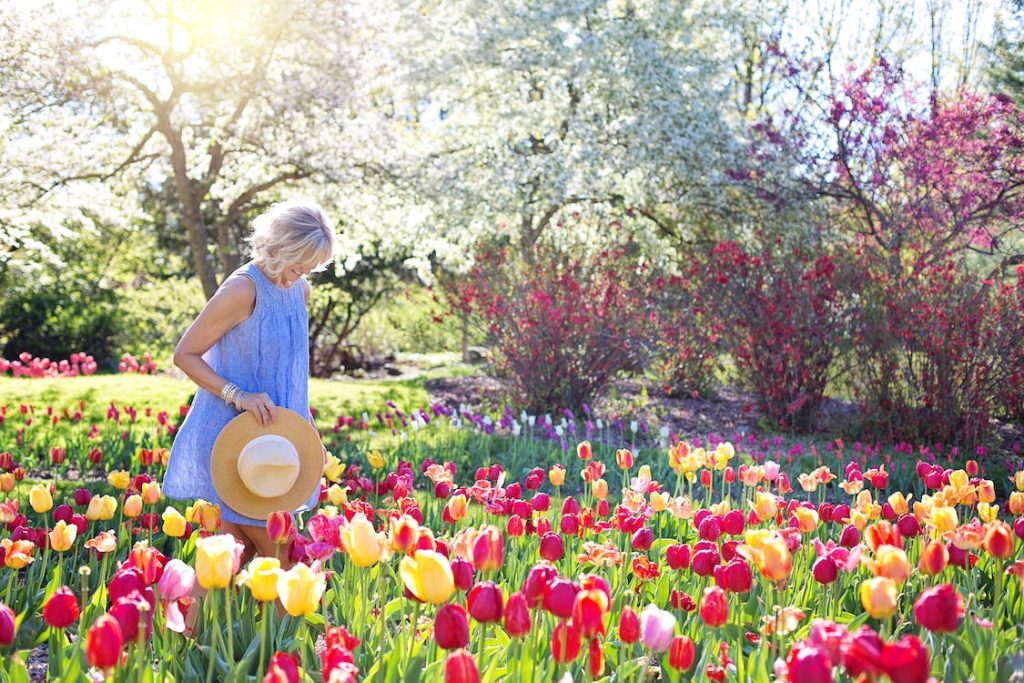 How to Keep Your Aesthetic Flower Fresh for Longer for the Best Floral Backdrop Design