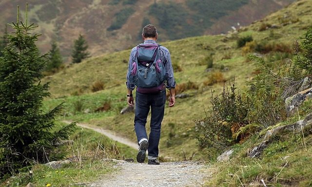 Take a Hike Through the Woods