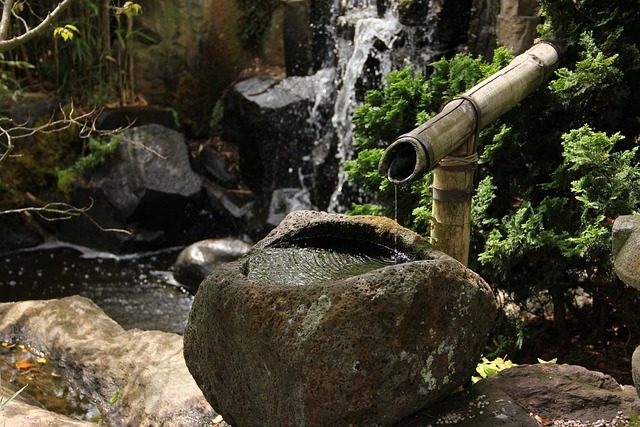 A Guide to Water Features For Luxury Homes