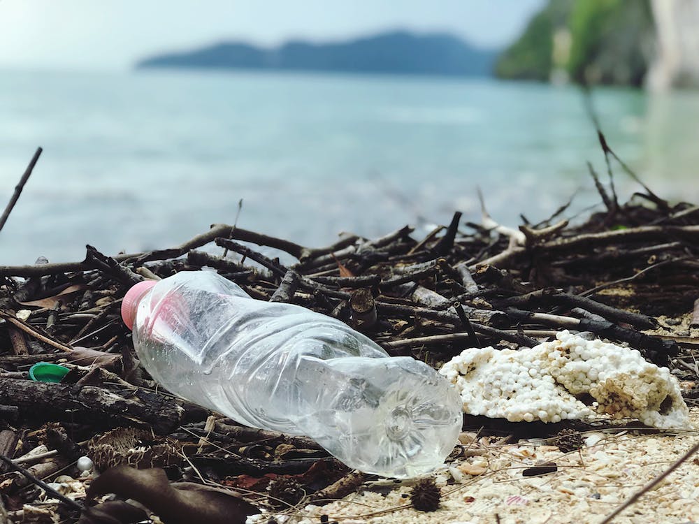 What are some of the detrimental impacts of plastic pollution