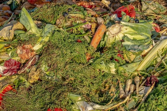 Why are Composting Products So Important